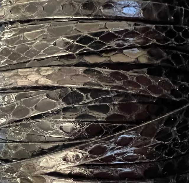 Veritable serpent sauvage 5mm - Noir