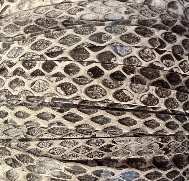 Veritable serpent sauvage 5mm - Taupe