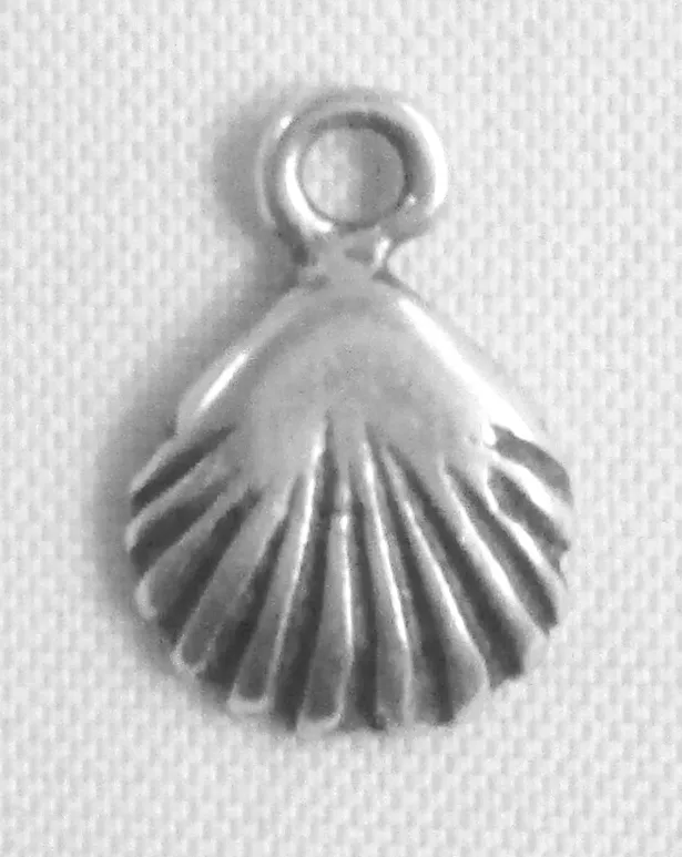 50 Pendants coquillage